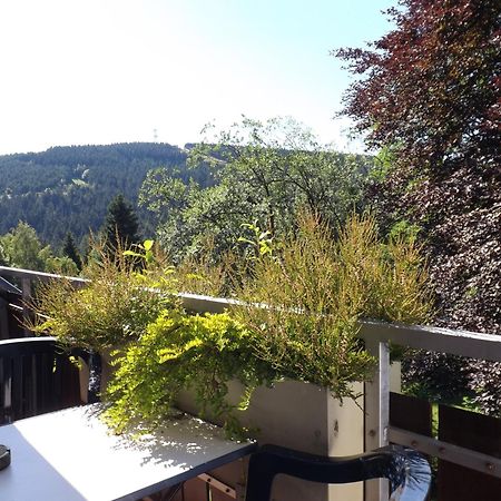 Residenz Bocksberg-Blick & St. Florian Villa Goslar Exterior photo